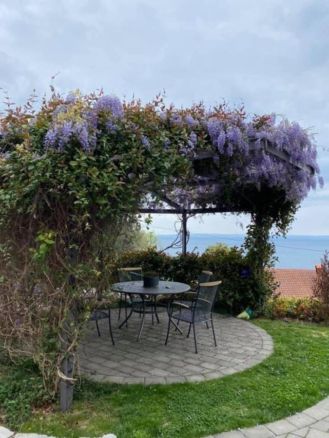Kvarner Vista Hana Apartma Icici